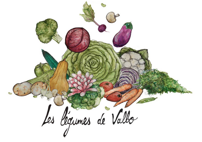 DES PRIX EN BAISSE AU RAYON FRUITS & LÉGUMES
