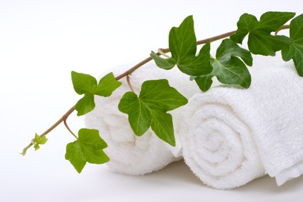 Ivy and towels