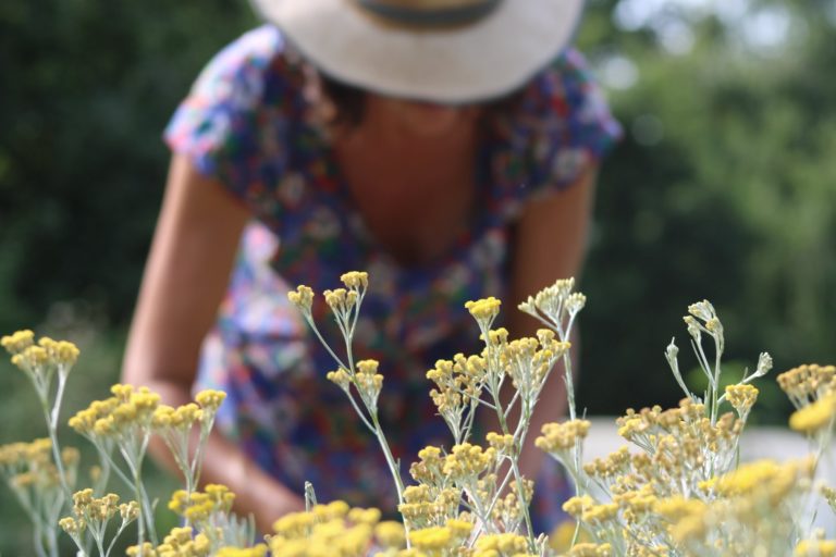 Symphytum, la beauté 100% naturelle, biologique et hollistique