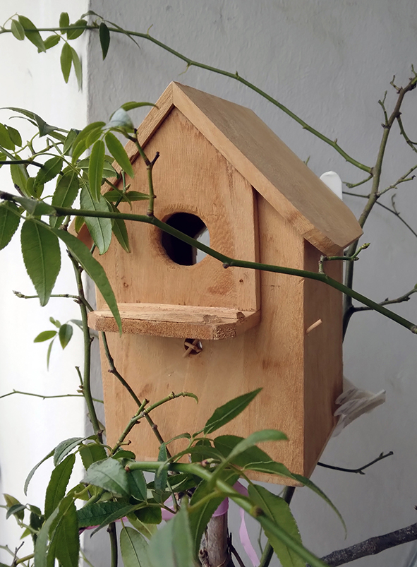 Mercredi 8 février : Confection de nichoirs et de mangeoires à oiseaux