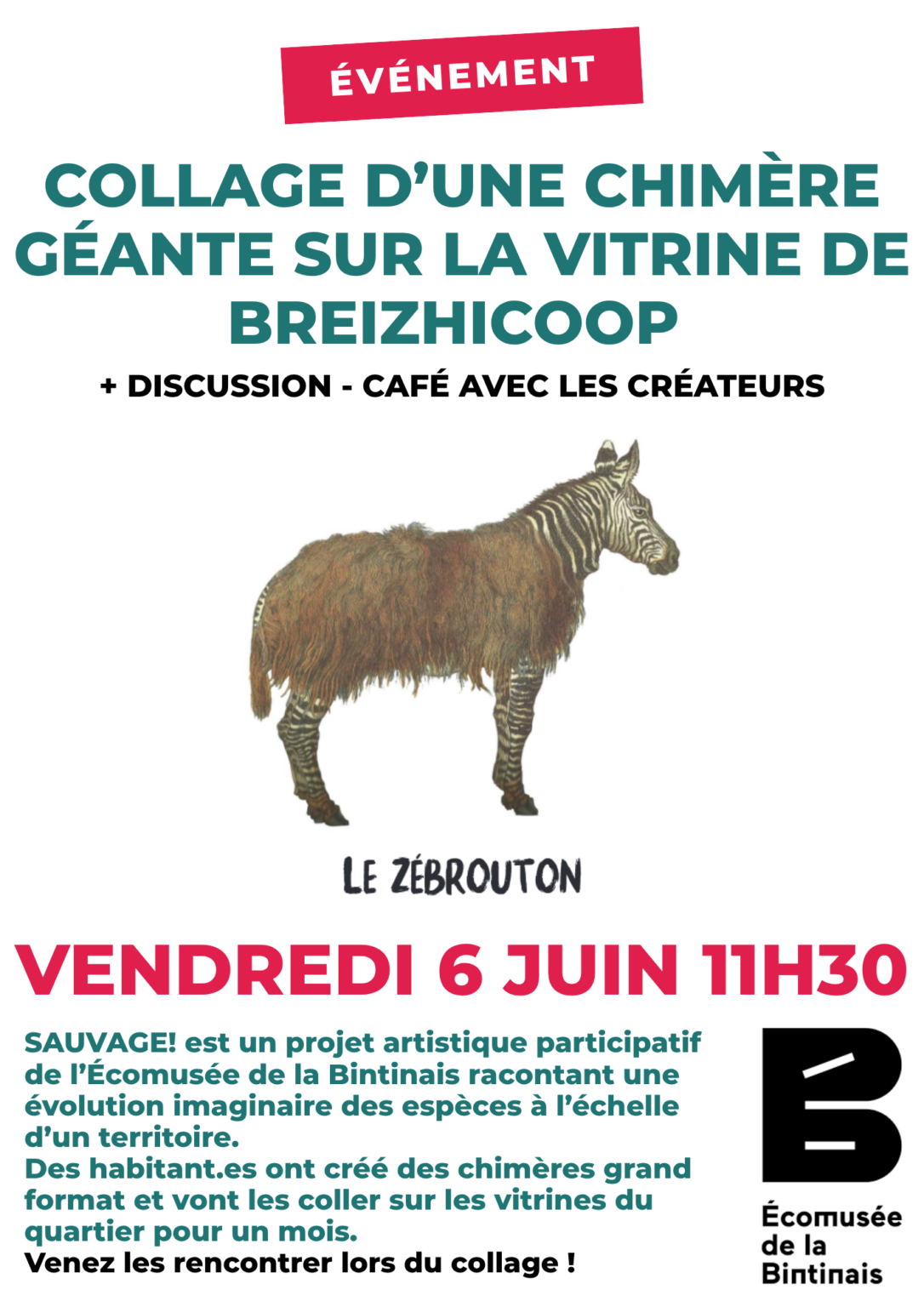 Vendredi 5 juin 2025 11h – Collage du Zébrouton sur la vitrine